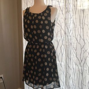 Love On A Hanger Polka-dot Dress